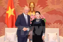 Vietnam presta atención al desarrollo del sector de auditoría