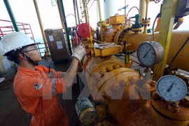 Vietnam explora con eficiencia gas en Mar del Este 