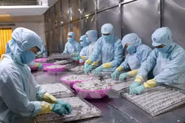 En alza exportaciones de productos acuícolas de Vietnam 