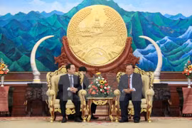 Presidente de Laos recibe a delegación de Vietnam