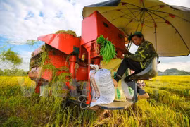 Empresa sudcoreana busca oportunidad de invertir en agricultura vietnamita