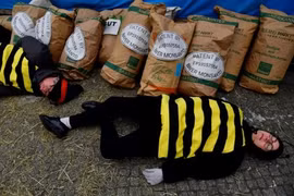 Un tribunal en La Haya responsabiliza a Monsanto de ecocidio 