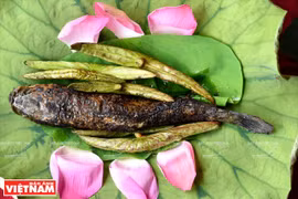 Flor de loto en el campo gastronómico 