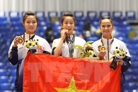 Vietnam alcanza meta de medallas de oro en SEA Games 29