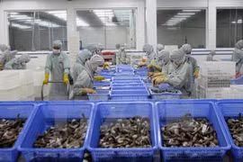 UE desplaza a Japón como mayor importador de camarones de Vietnam