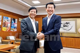 Vietnam y provincia japonesa fortalecen relaciones de cooperación