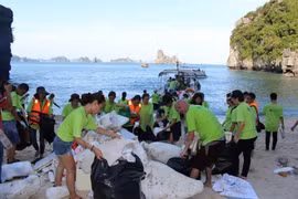 Impulsan protección y conservación ambiental en la Bahía de Ha Long