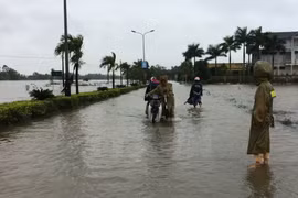 Vietnamitas en Argelia apoyan a las víctimas de inundaciones en tierra natal