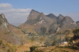 Celebran en Vietnam semana de patrimonios verdes
