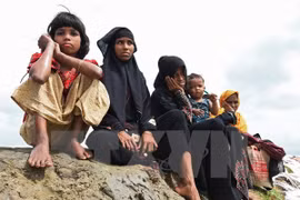 Ejército de Myanmar investiga una fosa común en estado de Rakhine