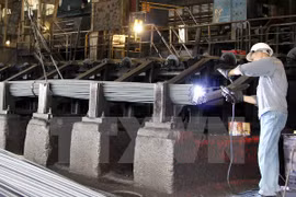 Sector de acero de Vietnam registra gran déficit en 2016 