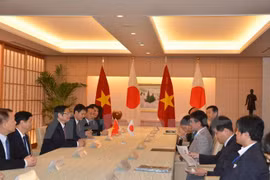 Vietnam y Japón intensifican cooperación económica