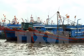 Vietnam impulsa aplicación de tecnologías avanzadas en la pesca