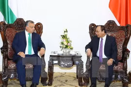 Vietnam y Hungría robustecen lazos multifacéticos