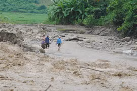 Proyecto de prevención de desastres naturales beneficia a pobladores en Centro de Vietnam
