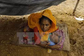 Australia ofrece asistencia humanitaria a Rohingyas en Myanmar