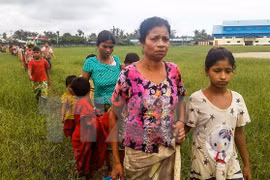 Myanmar: más de 18 mil rohingyas huyen a Bangladesh