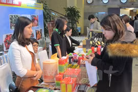 Vietnam impulsa desarrollo de producción industrial en zonas rurales
