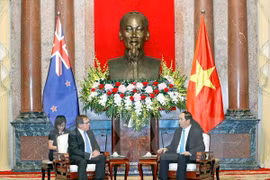 Vietnam y Nueva Zelanda robustecen cooperación en formación de personal