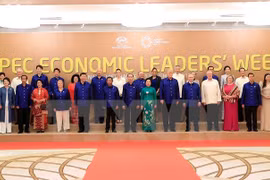 Presidente Tran Dai Quang preside cena de gala a líderes económicos del APEC