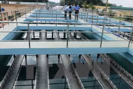 Empresa japonesa desea invertir en tratamiento de aguas en provincia vietnamita 