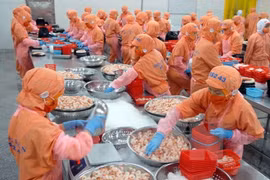 Vietnam insiste en pedir a Australia levantar bloqueo a exportaciones de camarones 