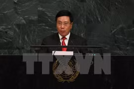 ASEAN debe fortalecer la solidaridad, según vicepremier vietnamita