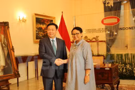 Vicepremier vietnamita reitera respaldo a asociación estratégica con Indonesia 