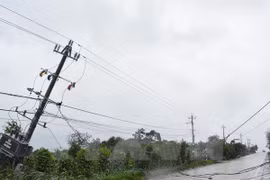  Aumenta número de muertos por tifón Damrey en Vietnam