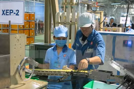 Vietnam se centra en resolver dificultades para empresas japonesas