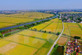 Vietnam logró gran incremento en exportaciones agrícolas