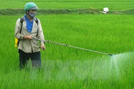 Aclaran nuevas regulaciones en sector agrícola vietnamita para empresas estadounidenses