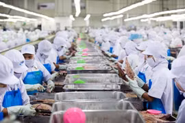 Tailandia retrasa la aplicación de ley de empleo para extranjeros 