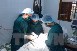 Vietnam y Alemania cooperan en formación de médicos 