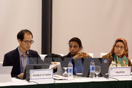 Altos funcionarios de APEC debaten temas sobre era de tecnología informática 