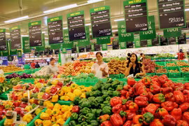 Empresas europeas estudian mercado de alimentos y bebidas en Vietnam