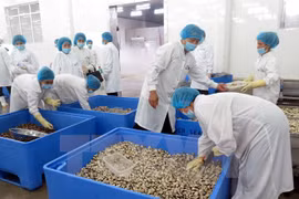 Camboya ofrece asistencia a producciones de pequeña envergadura