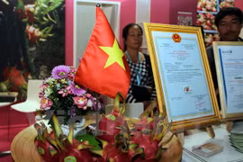  Pitahaya vietnamita presente en el Feria internacional de Berlín