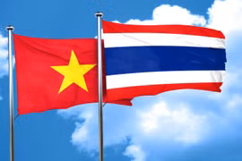 Profesores vietnamitas residentes en Tailandia visitan la Patria