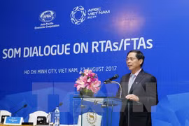Economías de APEC fomentan conectividad económica regional