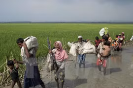 Éxodo de rohingyas de Myanmar a Bangladesh se acerca a los 300 mil