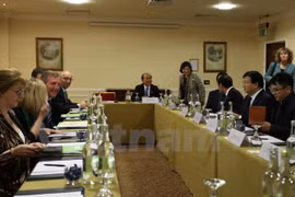 Irlanda y Vietnam estrechan cooperación en el despliegue de acuerdos bilaterales