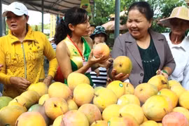 China intensifica importación de productos agrícolas vietnamitas