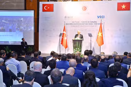 Efectúan Foro Empresarial Vietnam-Turquía