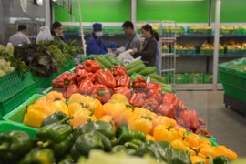 Vietnam ingresa más de tres mil millones de dólares por ventas de verduras y frutas