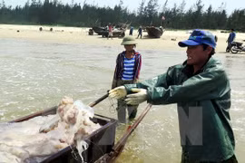 Ha Tinh con nuevo rostro un año después del incidente de contaminación marina