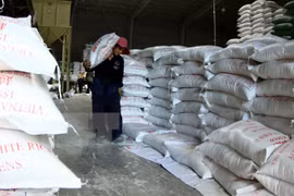 Exportación arrocera de Vietnam reporta señales optimistas