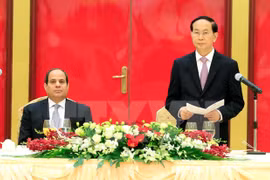 Presidente de Vietnam aprecia relación con Egipto