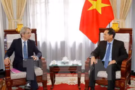 Vietnam atesora relaciones con Francia, afirma vicecanciller vietnamita