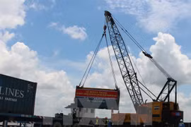 Vinalines y grupo japonés NYK Line cooperan en transporte y servicios logísticos